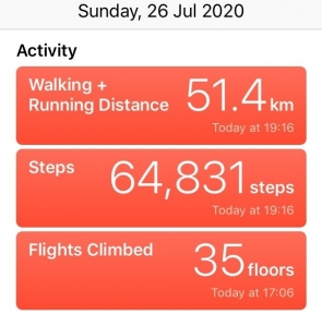 Peter's walk activity statistics