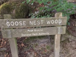 Wooden goose nest wood sign