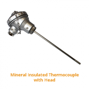 Mineral Insulated Thermometer with Head